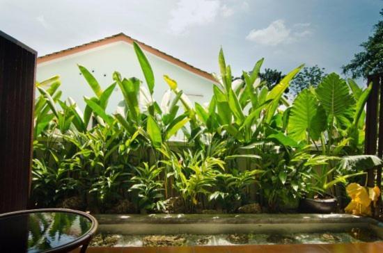 Mydream Guest House Ipoh Buitenkant foto